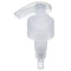 SS-SL-06 Screw Lotion Pump